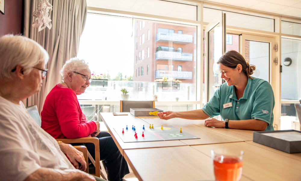 Ludo på Friplejehjemmet Lærkevej